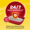 image:imagePurina Tidy Cats Clumping Cat Litter 247 Performance Multi Cat Litter  38 lb Box38 Pound Pack of 1