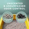 image:imagePurina Tidy Cats Clumping Cat Litter Odor Control Free and Clean Unscented Multi Cat Litter  16 lb Bag16 Pound Pack of 1
