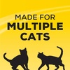 image:imagePurina Tidy Cats Clumping Cat Litter 247 Performance Multi Cat Litter  20 Pound Pack of 2