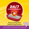 image:imagePurina Tidy Cats Clumping Cat Litter 247 Performance Multi Cat Litter  20 Pound Pack of 2